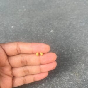 22k Solid Gold Studs